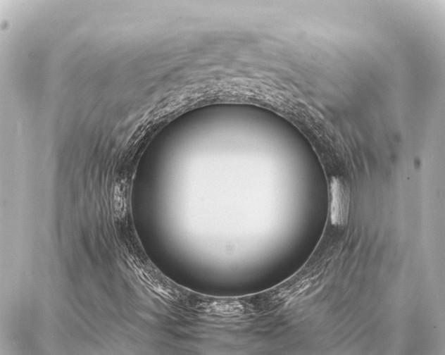 X0000087061491200704251016