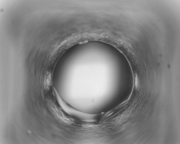 X0000087061492200704251016