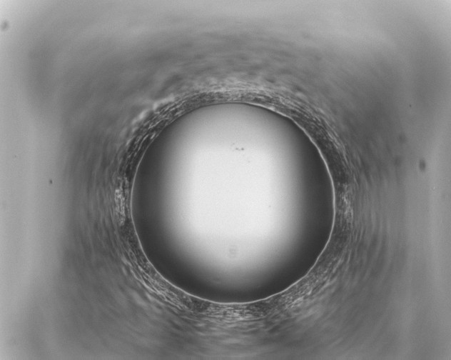 X0000087061493200704251016