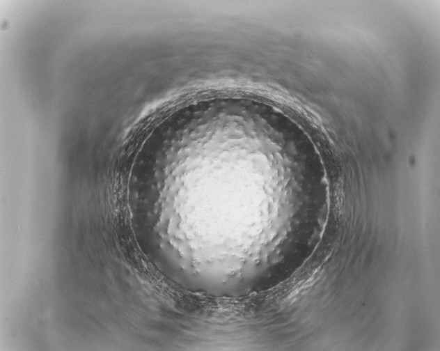 X0000087061494200704251016