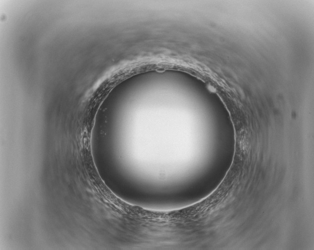 X0000087061495200704251016