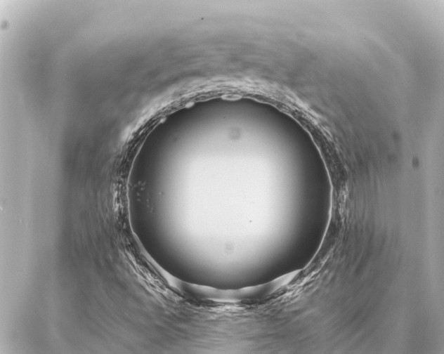 X0000087061496200704251016