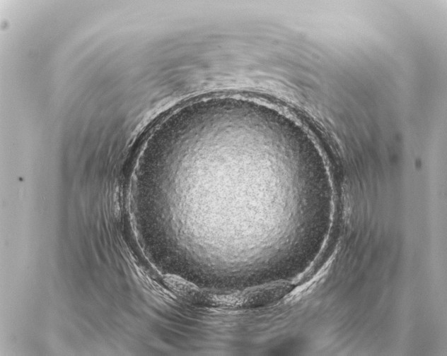 X0000087061497200704251016