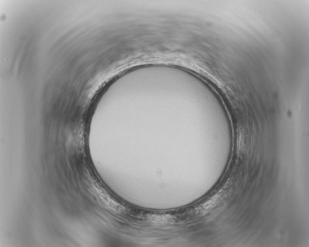 X0000087061498200704251016