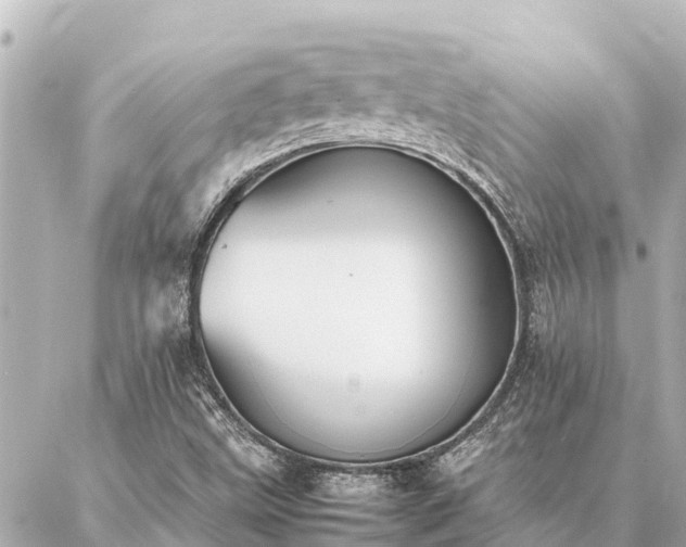 X0000087061499200704251016