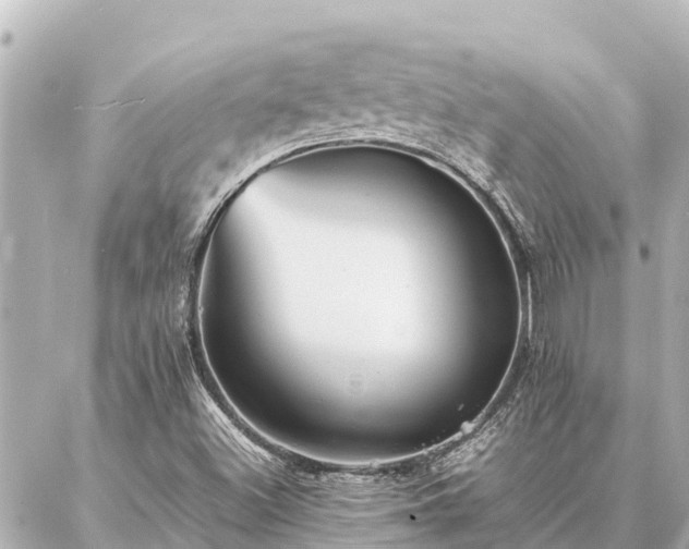 X0000087061500200704251016