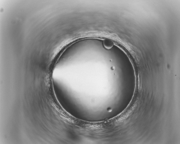 X0000087061501200704251016