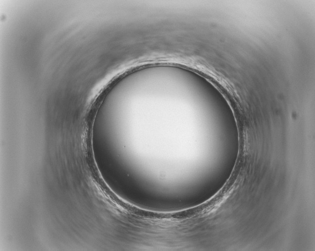 X0000087061502200704251016