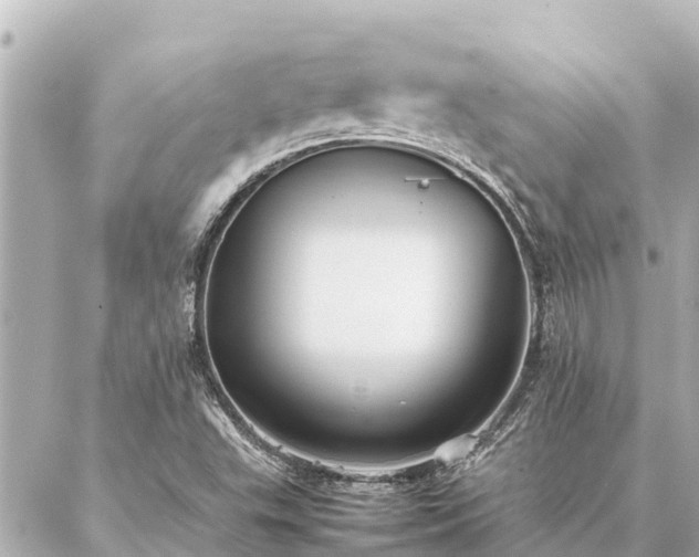 X0000087061503200704251016