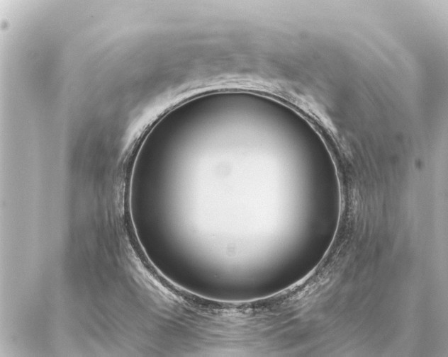 X0000087061504200704251016