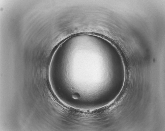 X0000087061505200704251016