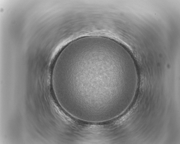 X0000087061506200704251016