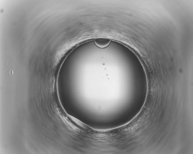 X0000087061507200704251016