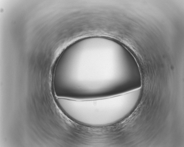 X0000087061508200704251016