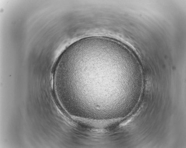 X0000087061509200704251016