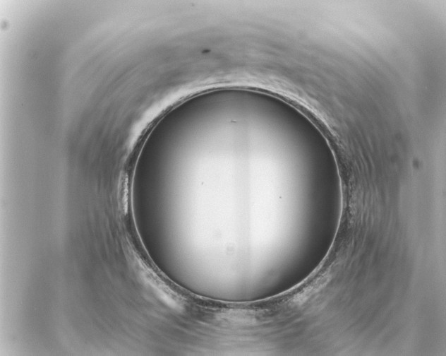 X0000087061510200704251016