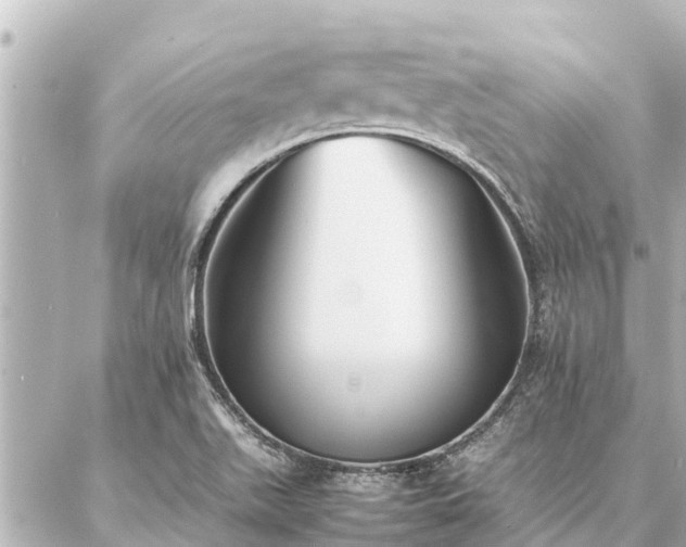 X0000087061511200704251016