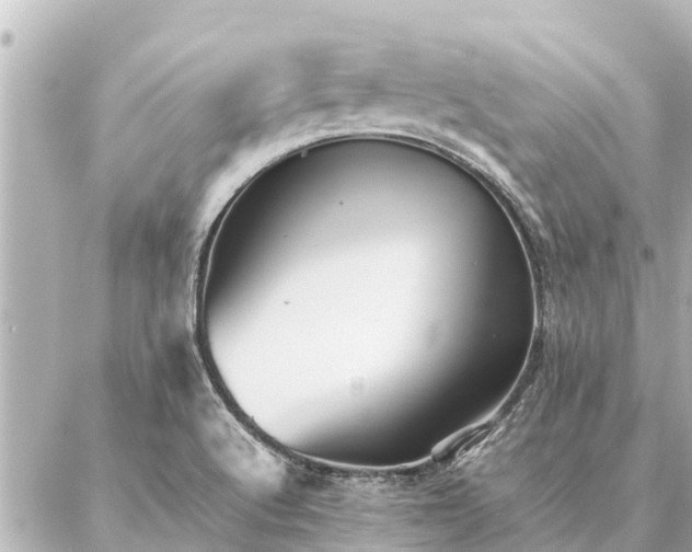 X0000087061512200704251016