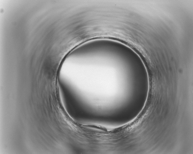 X0000087061513200704251016