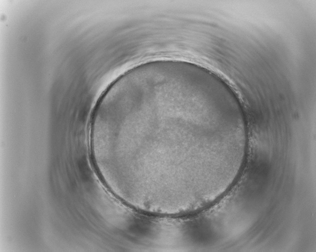 X0000087061514200704251016