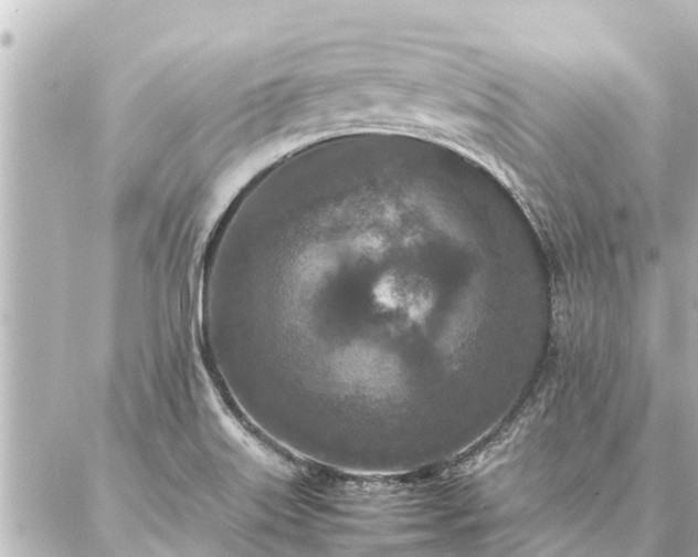 X0000087061515200704251016