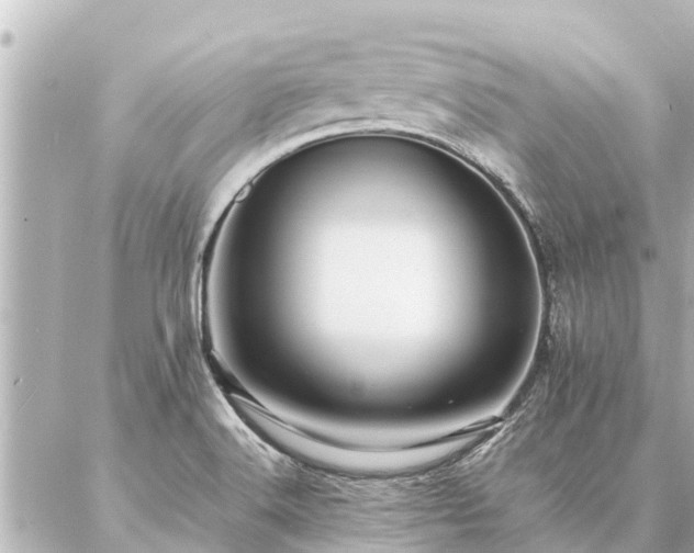 X0000087061516200704251016