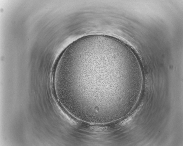 X0000087061517200704251016