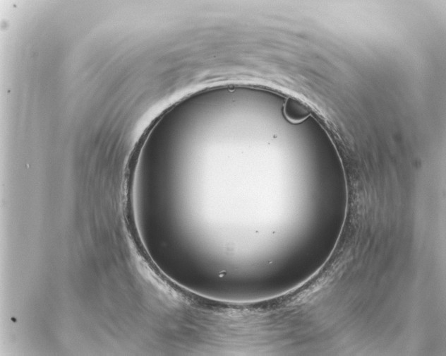 X0000087061518200704251016