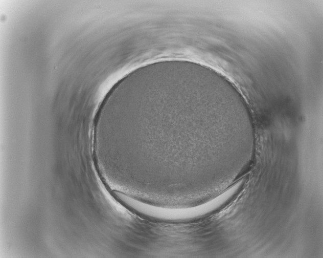 X0000087061519200704251016