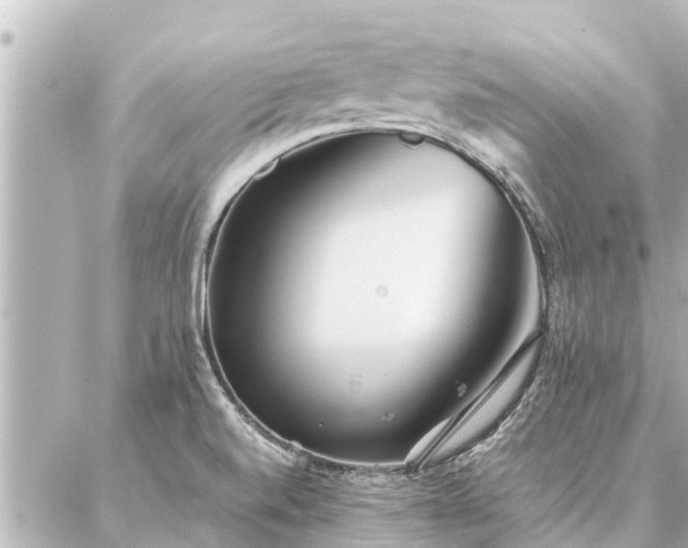 X0000087061520200704251016