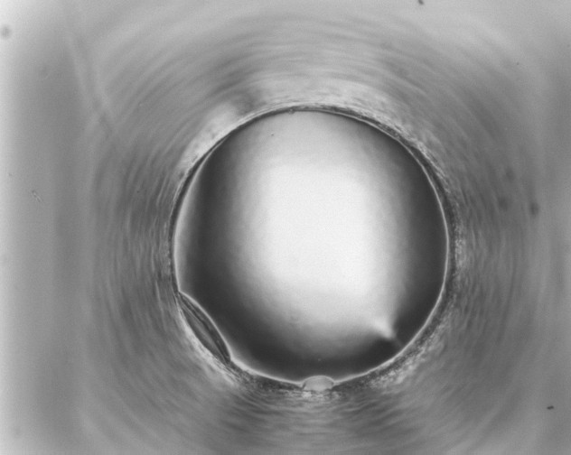 X0000087061521200704251016