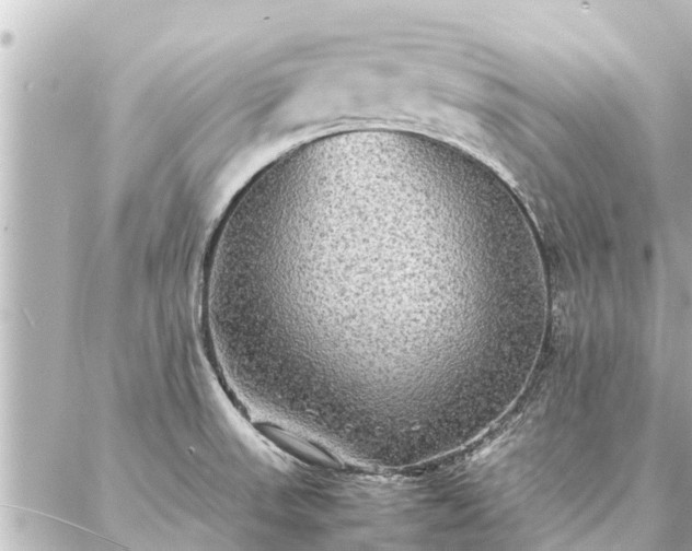 X0000087061523200704251016