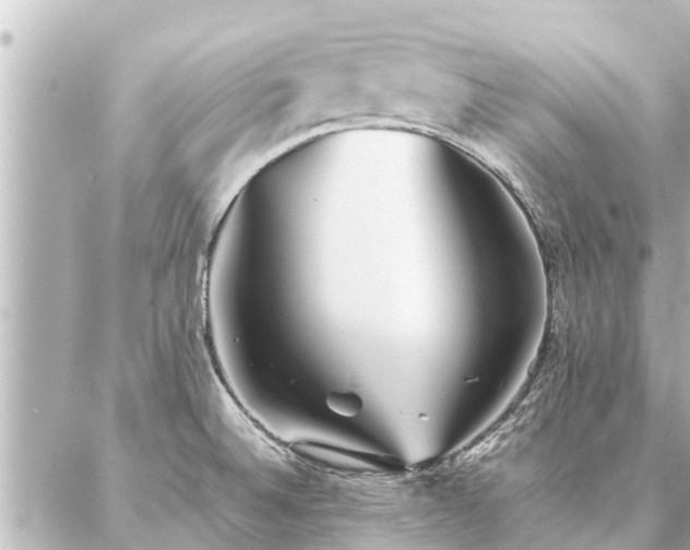 X0000087061524200704251016