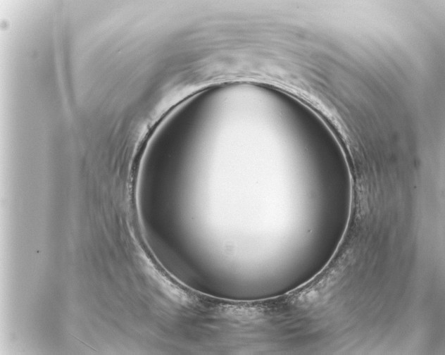 X0000087061525200704251016