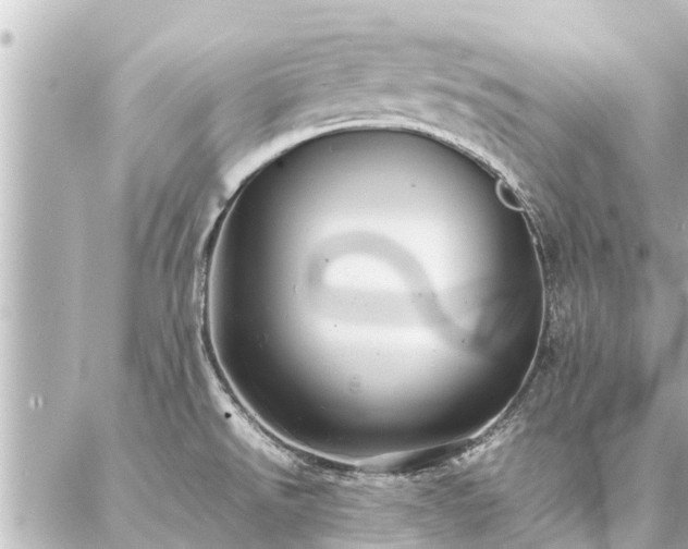 X0000087061526200704251016