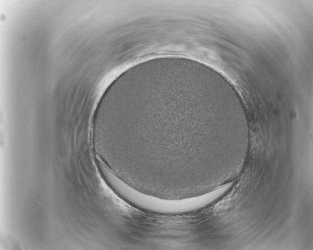 X0000087061527200704251016