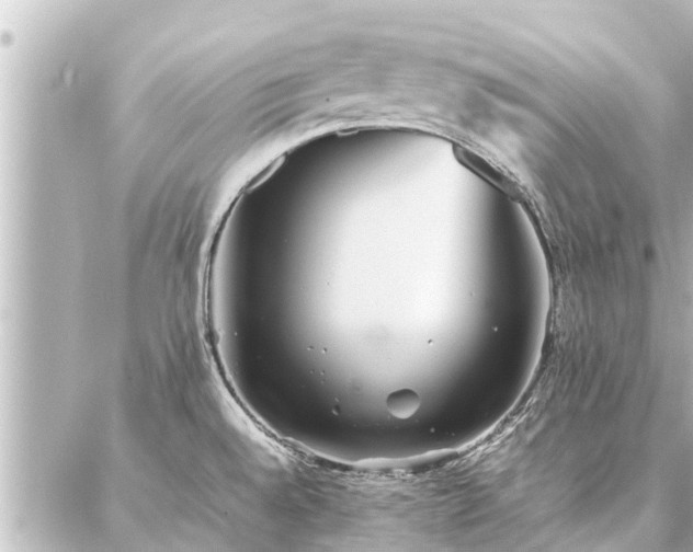 X0000087061528200704251016