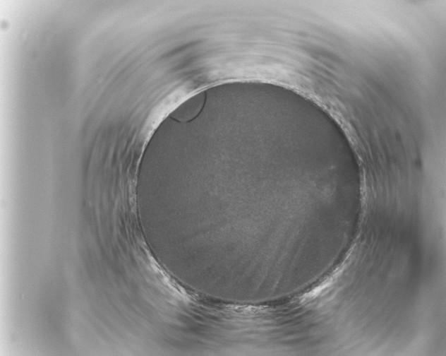 X0000087061529200704251016