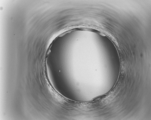 X0000087061530200704251016