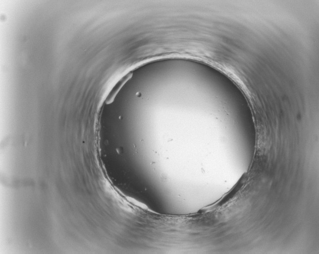 X0000087061532200704251016