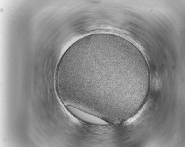 X0000087061533200704251016