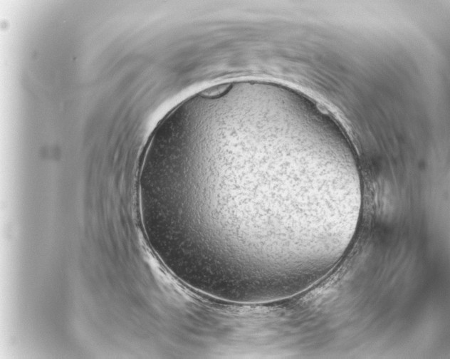 X0000087061534200704251016