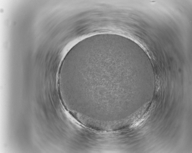 X0000087061535200704251016