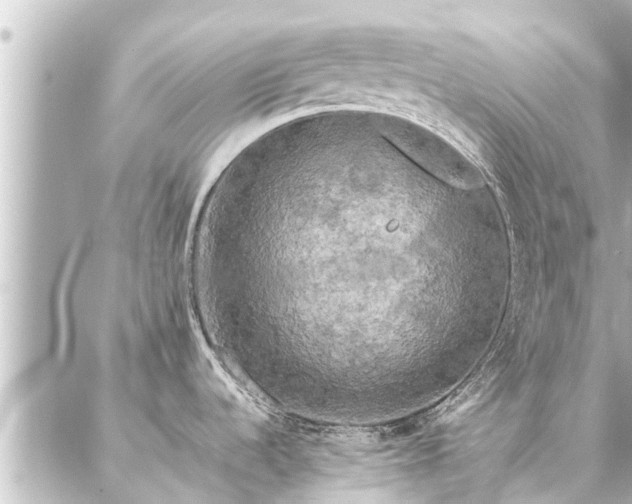 X0000087061536200704251016