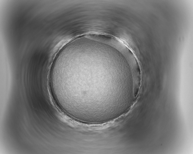 X0000087060001200705021226