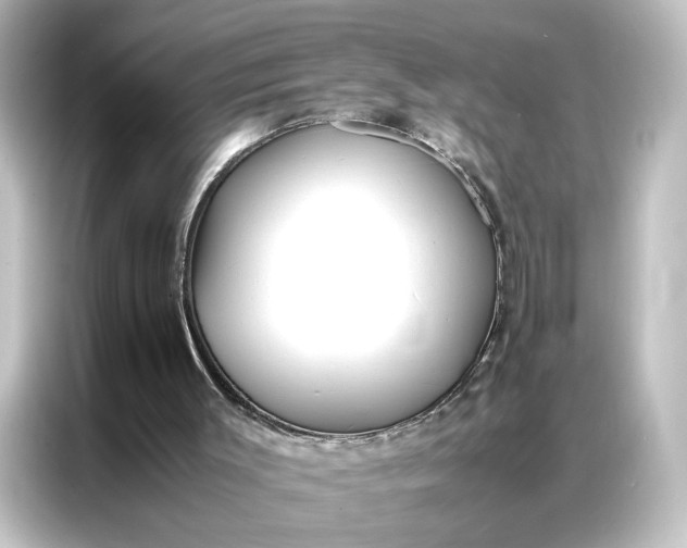 X0000087060003200705021226