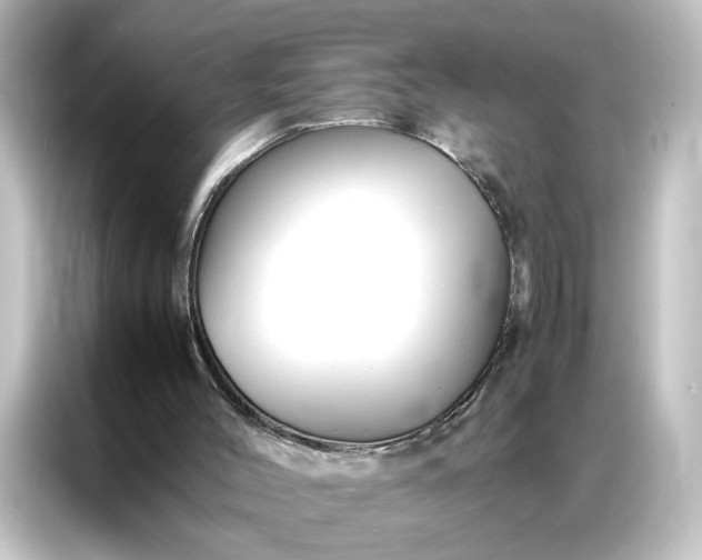 X0000087060004200705021226