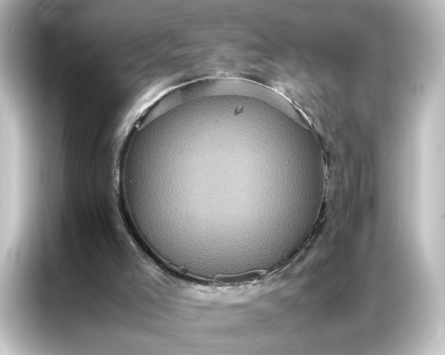 X0000087060005200705021226