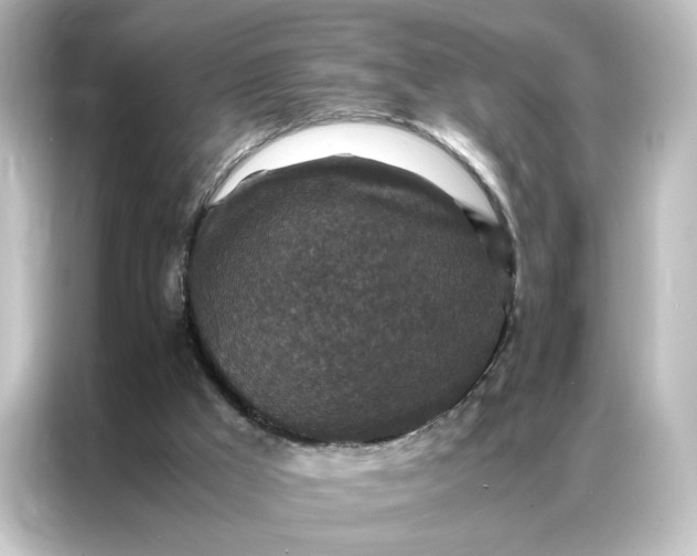 X0000087060009200705021226