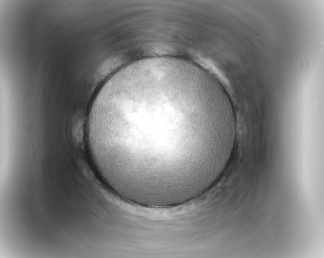 X0000087060010200705021226